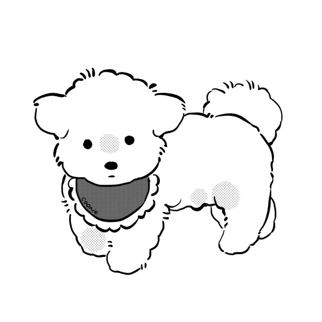 CocoPaw曲奇椰