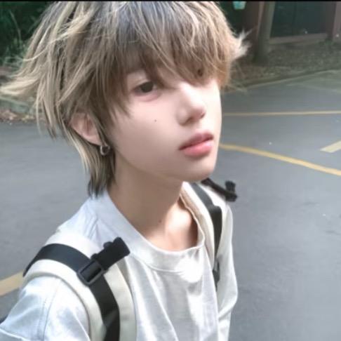 摆