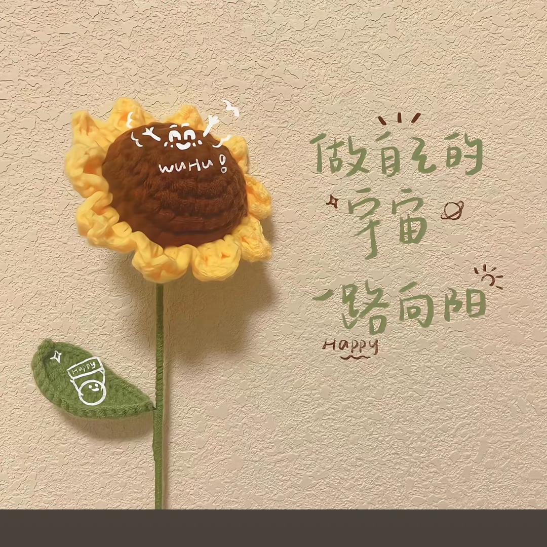 云淡🌸风轻