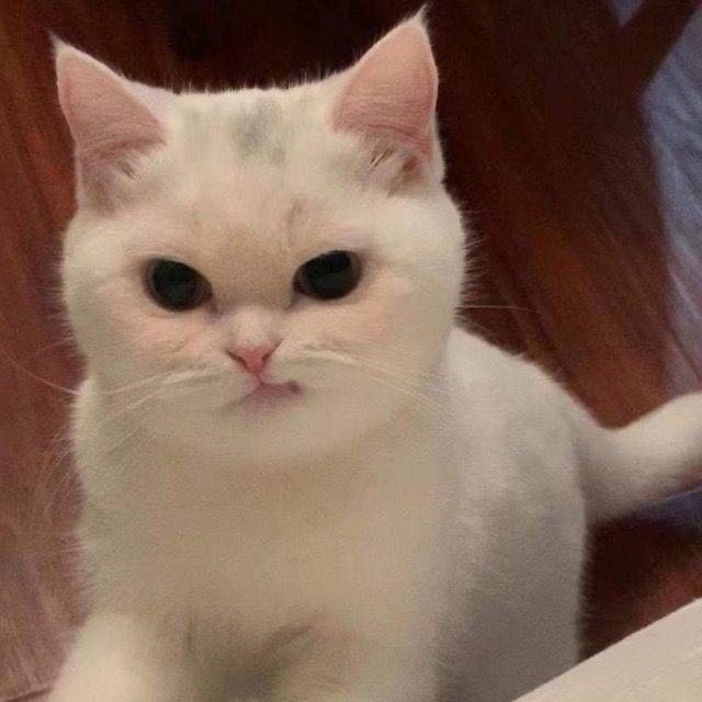 LinX