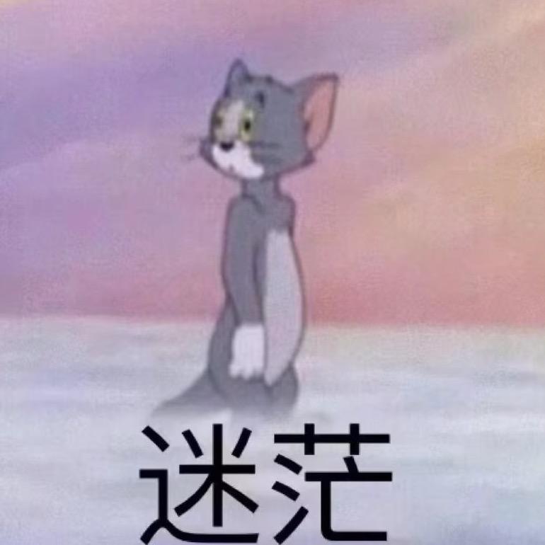 龙崽崽～