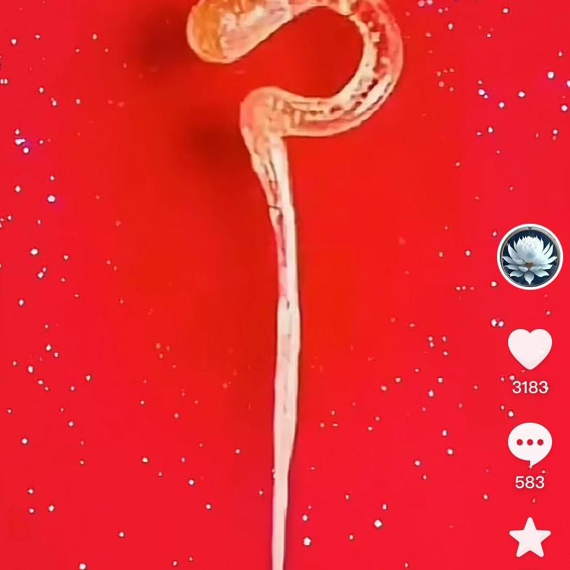 风骚的李老爹的牧情谷