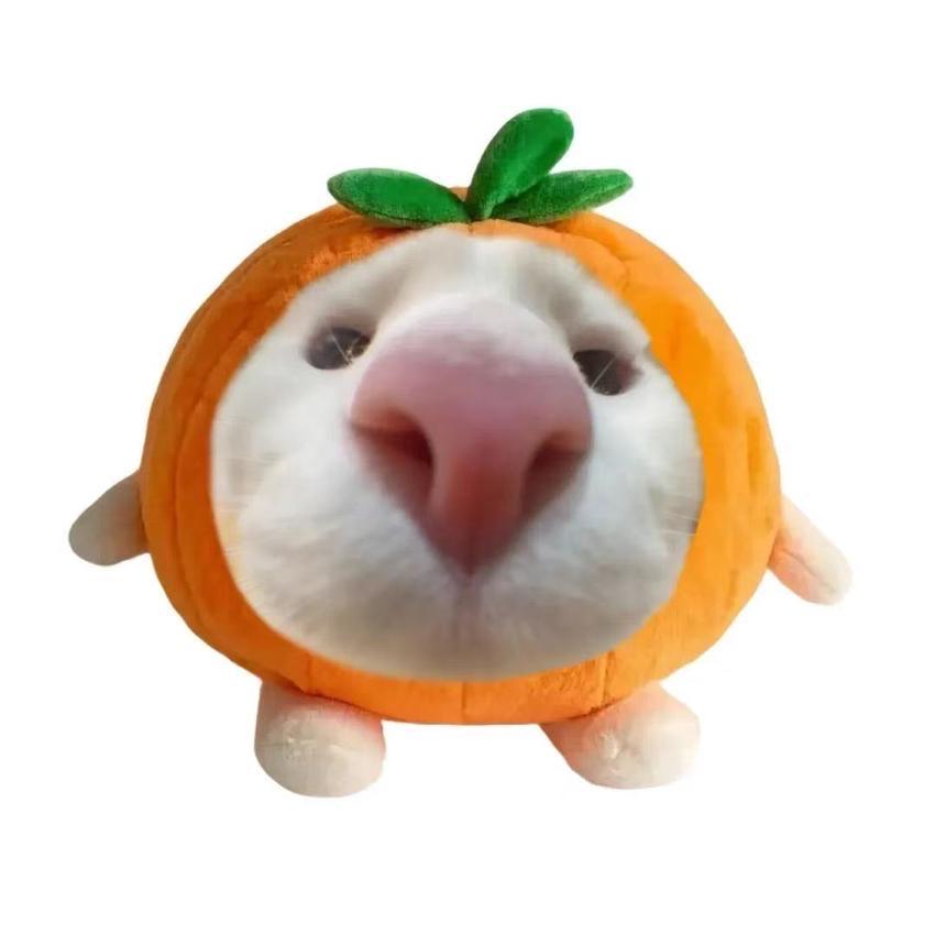 每日一乐