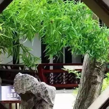 翠梦阁
