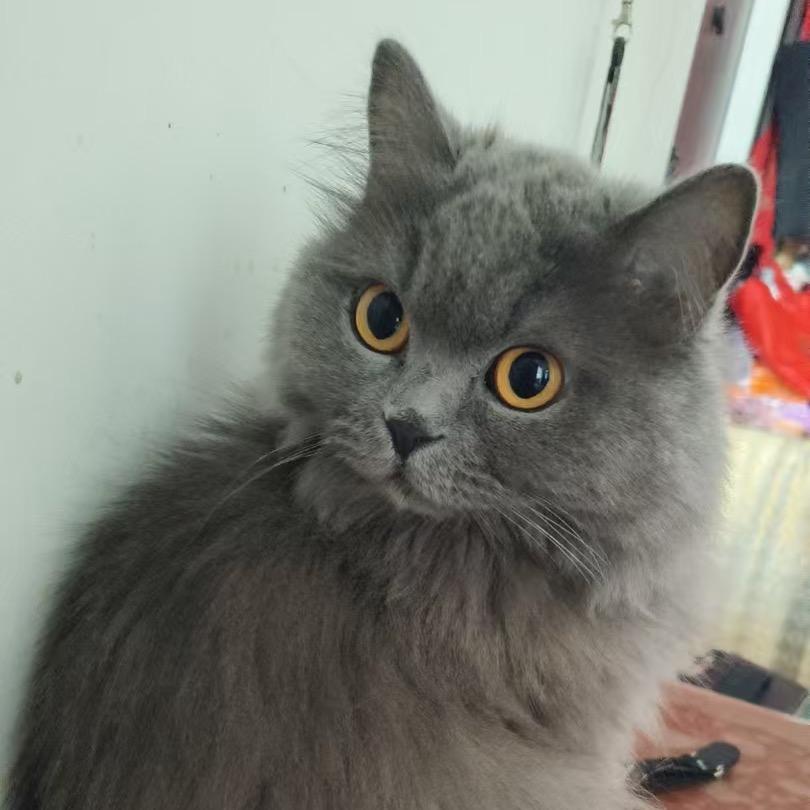 喂喂喂喂小魏🔥