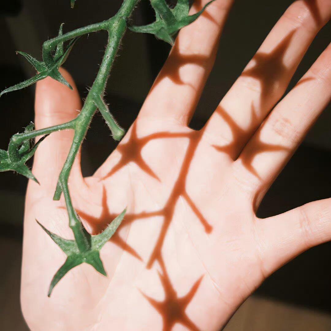 百香果很甜我很咸