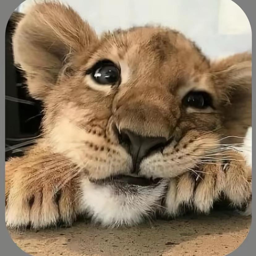 打麻将时候不饿