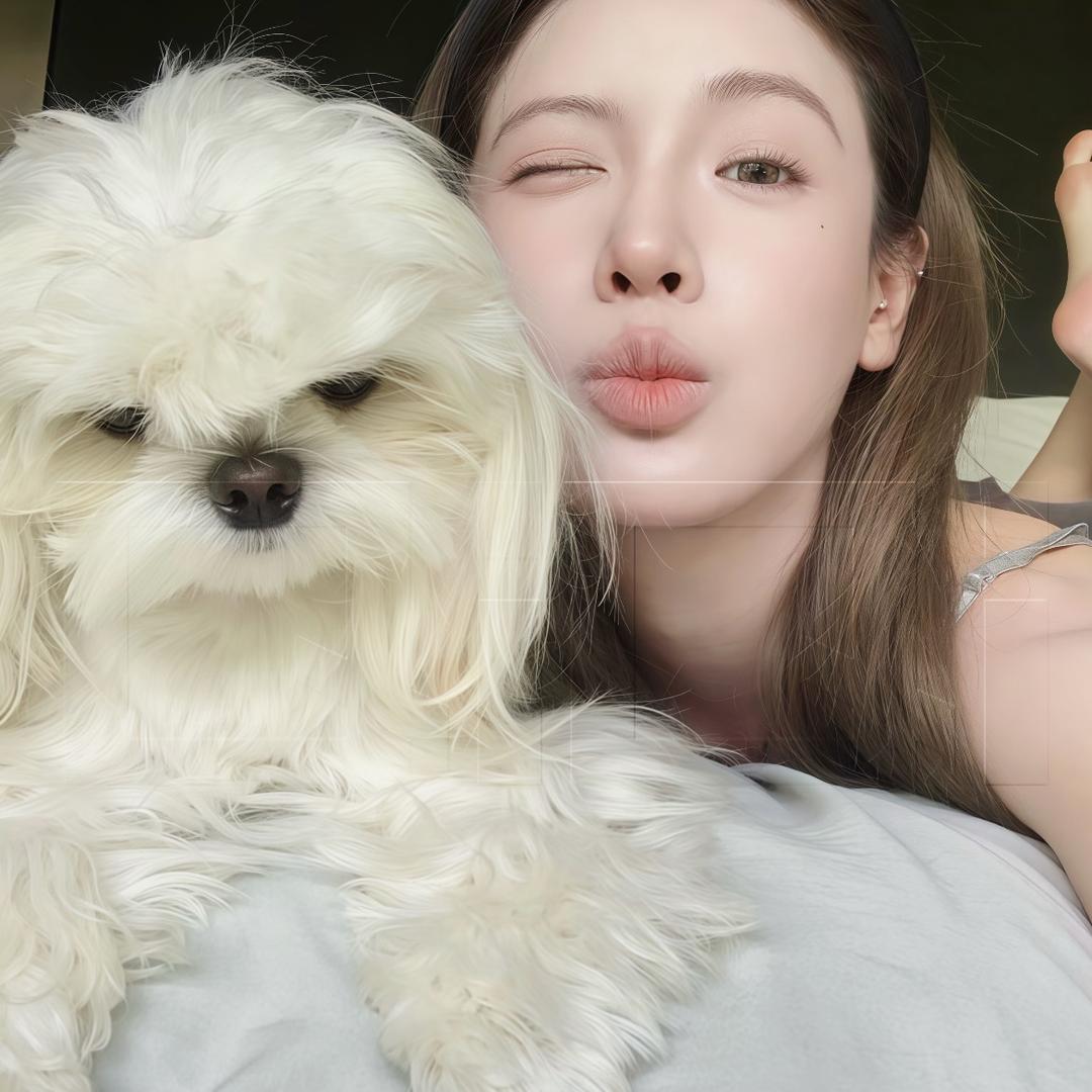 火火很忙.🍎
