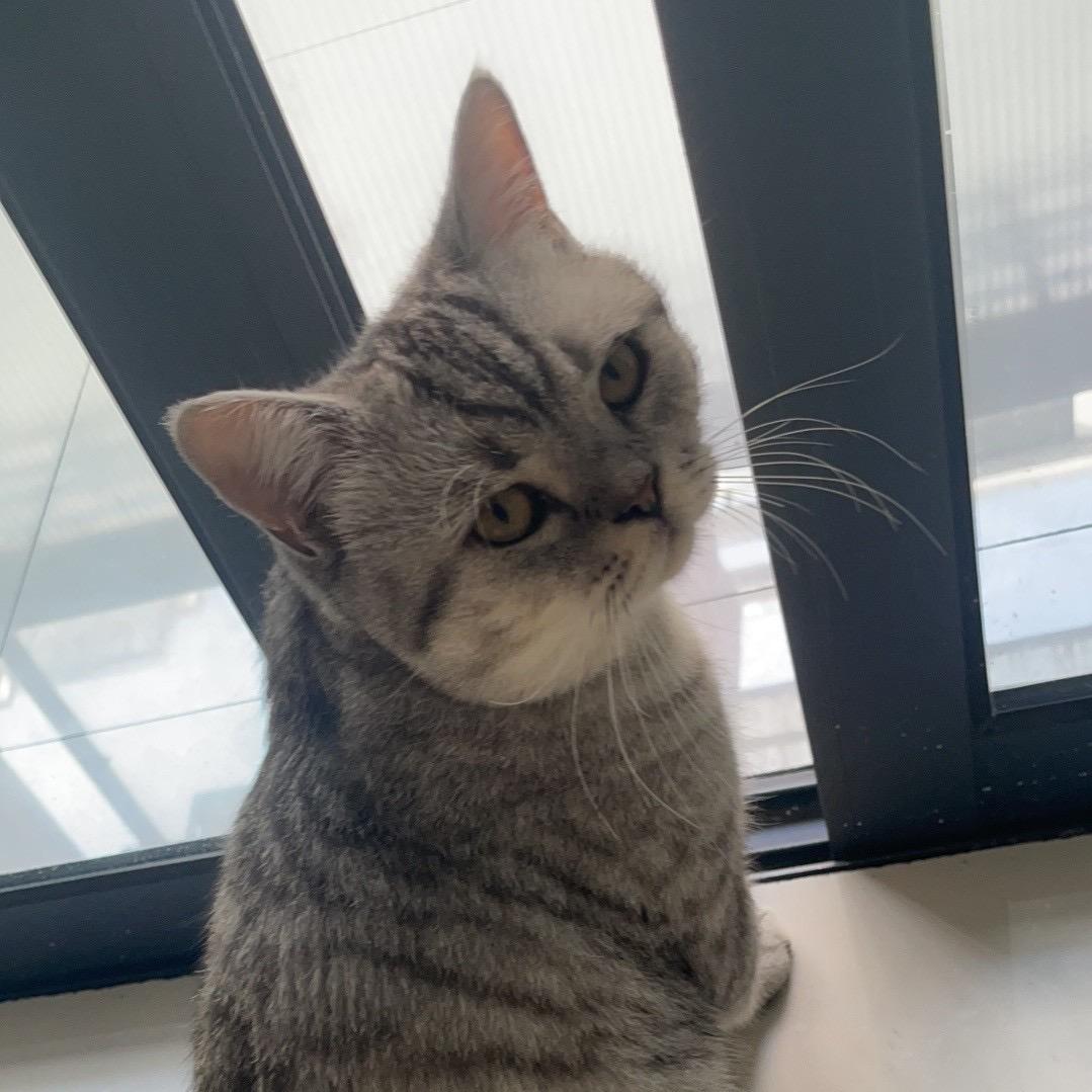 A🎀思思
