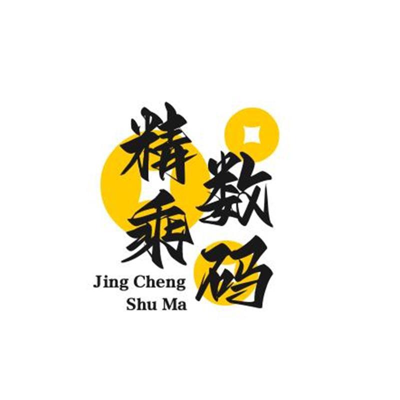 精乘数码工厂店