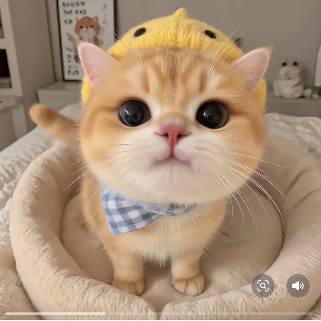 向阳