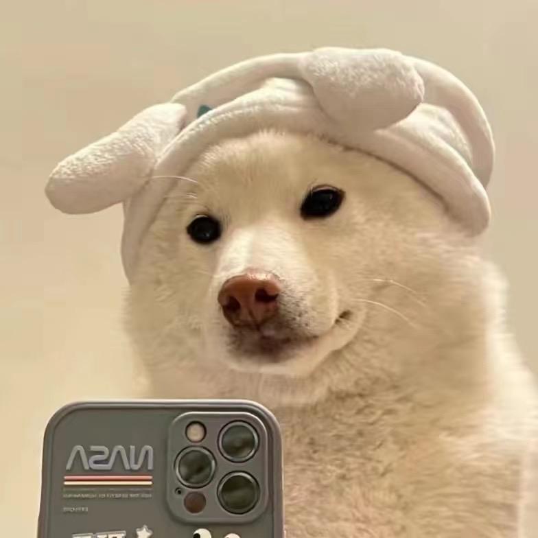 猪猪短剧