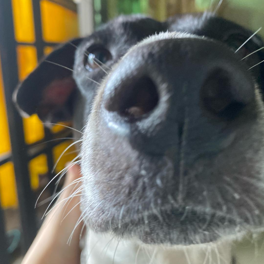 ℒℴѵℯ·宁⁵²⁰ 𝑺𝒉𝒆𝒏
