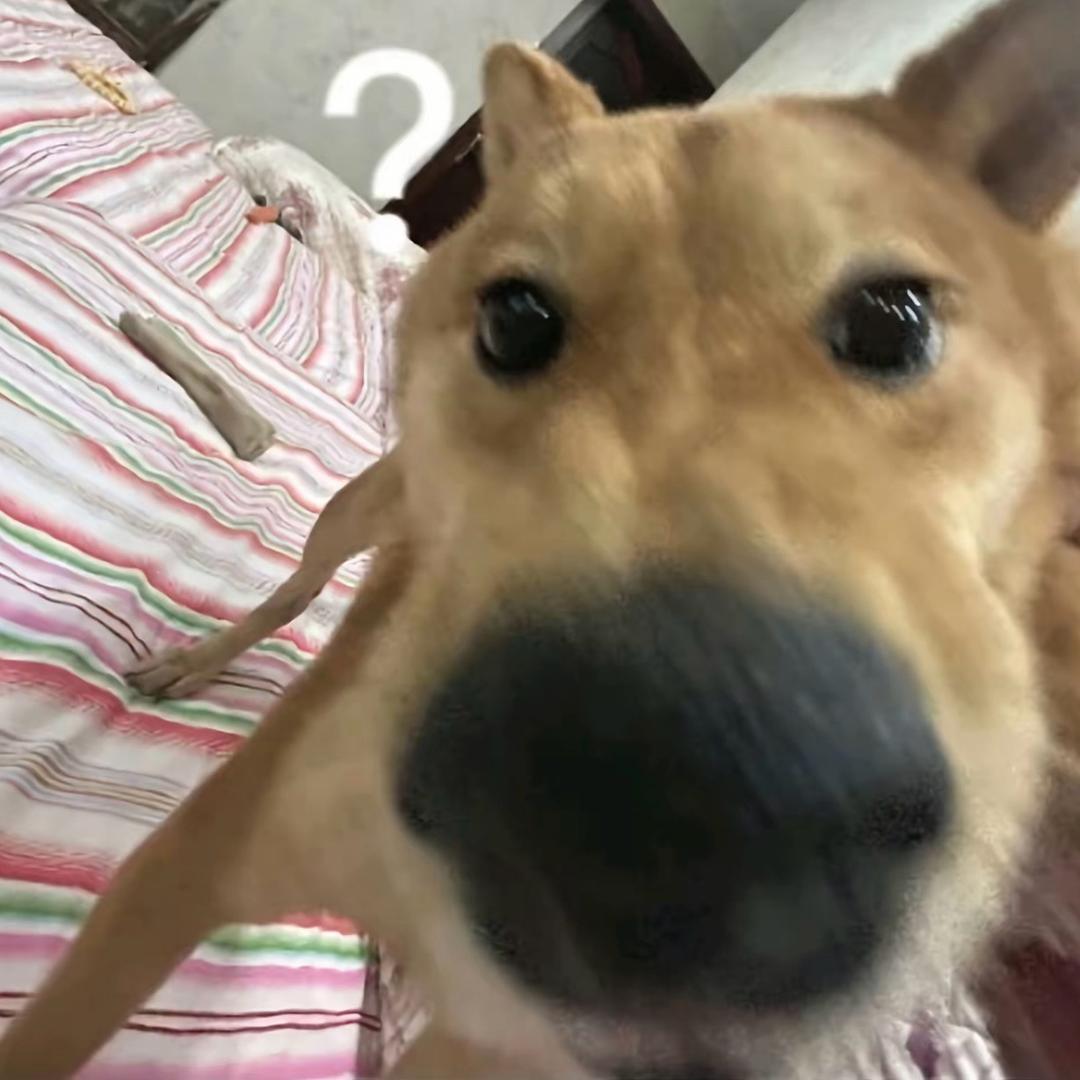 oi