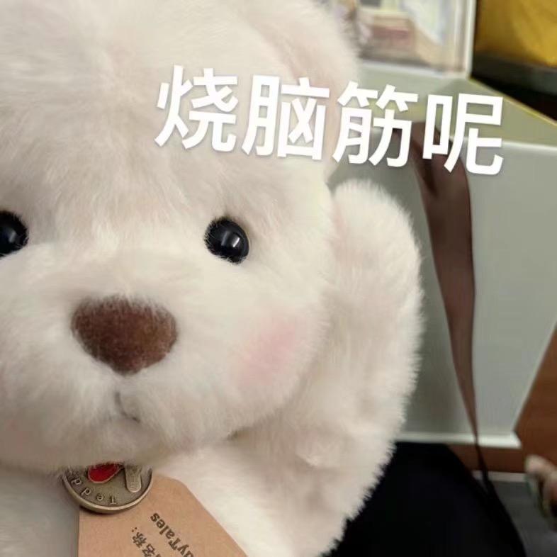 小乌龟（三角洲行动版）