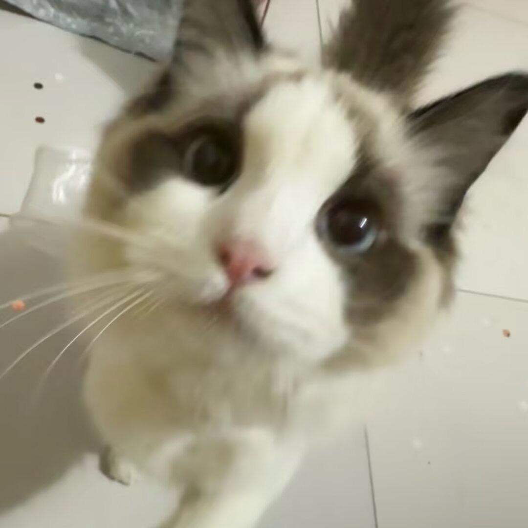 冉然