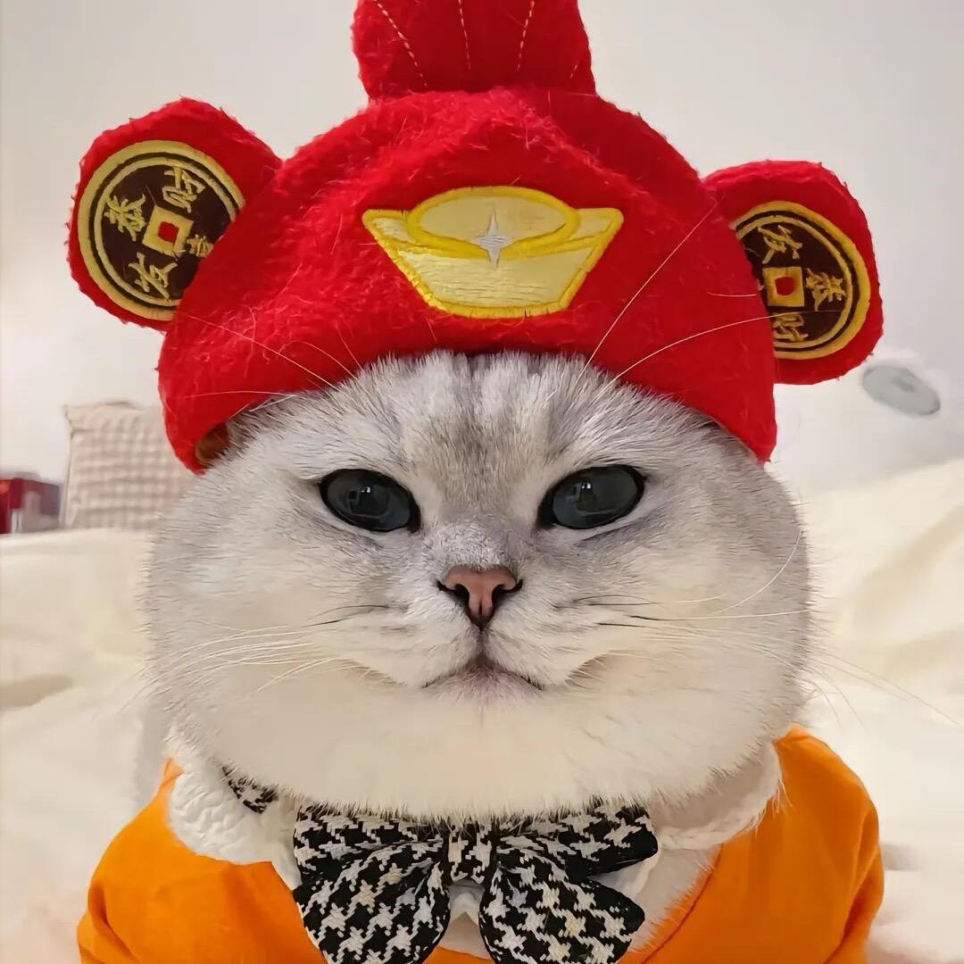 喵喵咪吖🐈