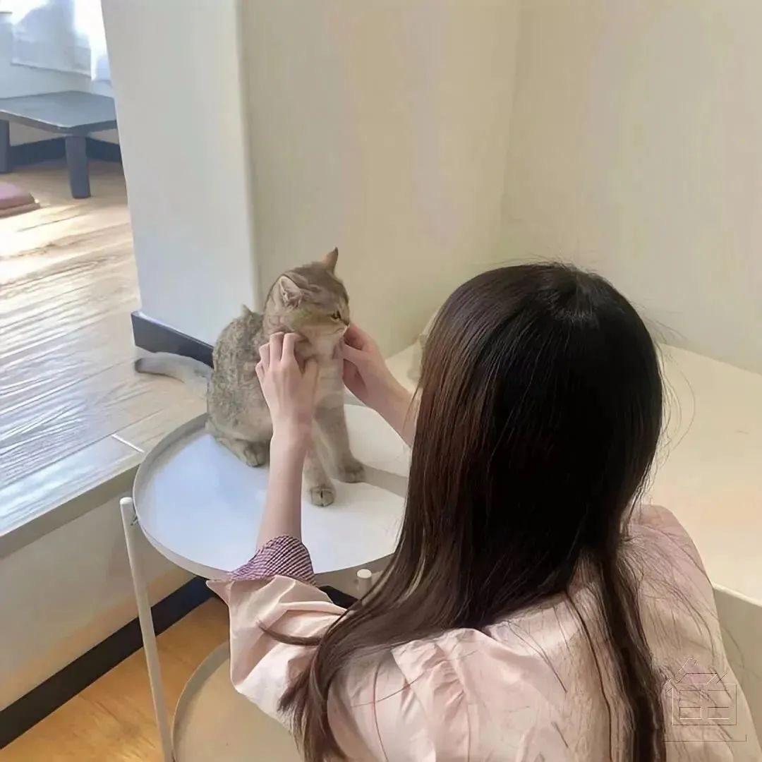 迪yao 🎈