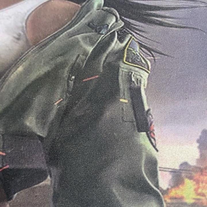 哩哩也会