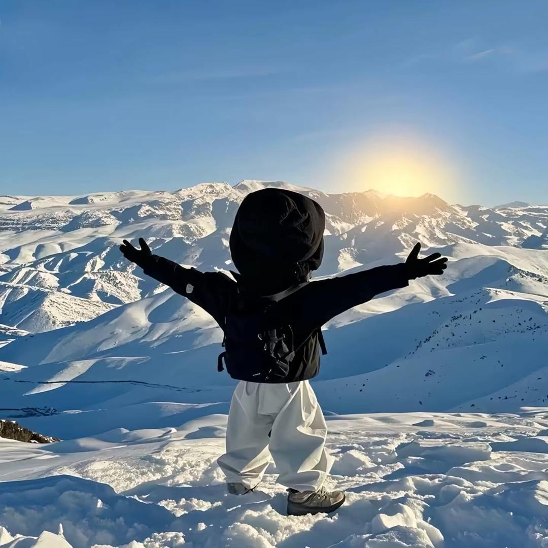 果农侠佰鑫荣果树苗木专卖店