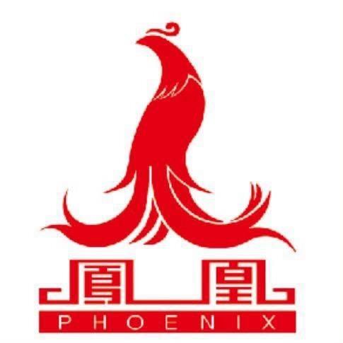 凤凰电动车（破价直播）