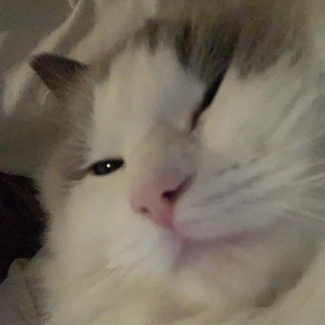 在这个世界相遇