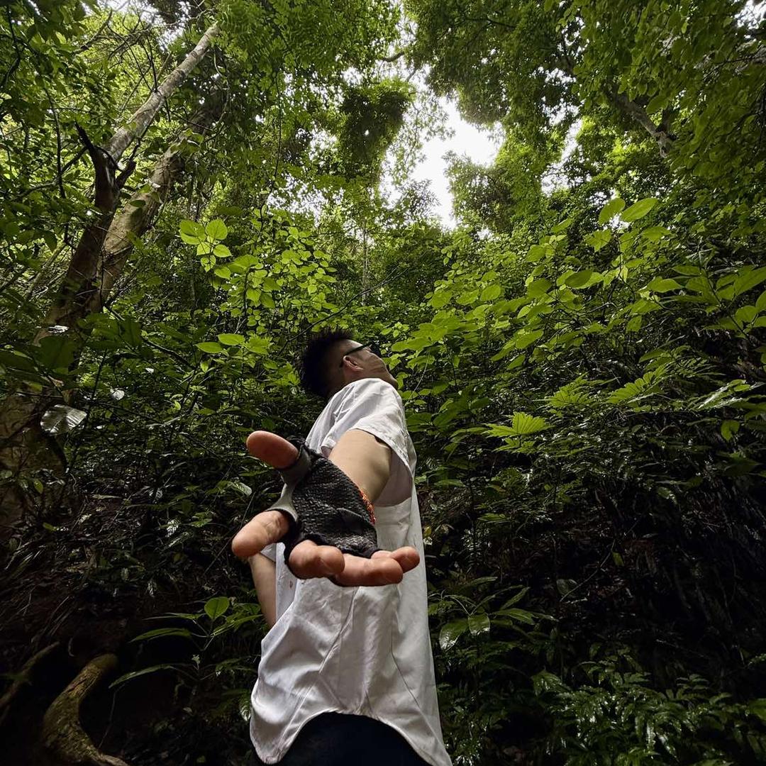 基诺山巴朵欢乐谷雨林徒步