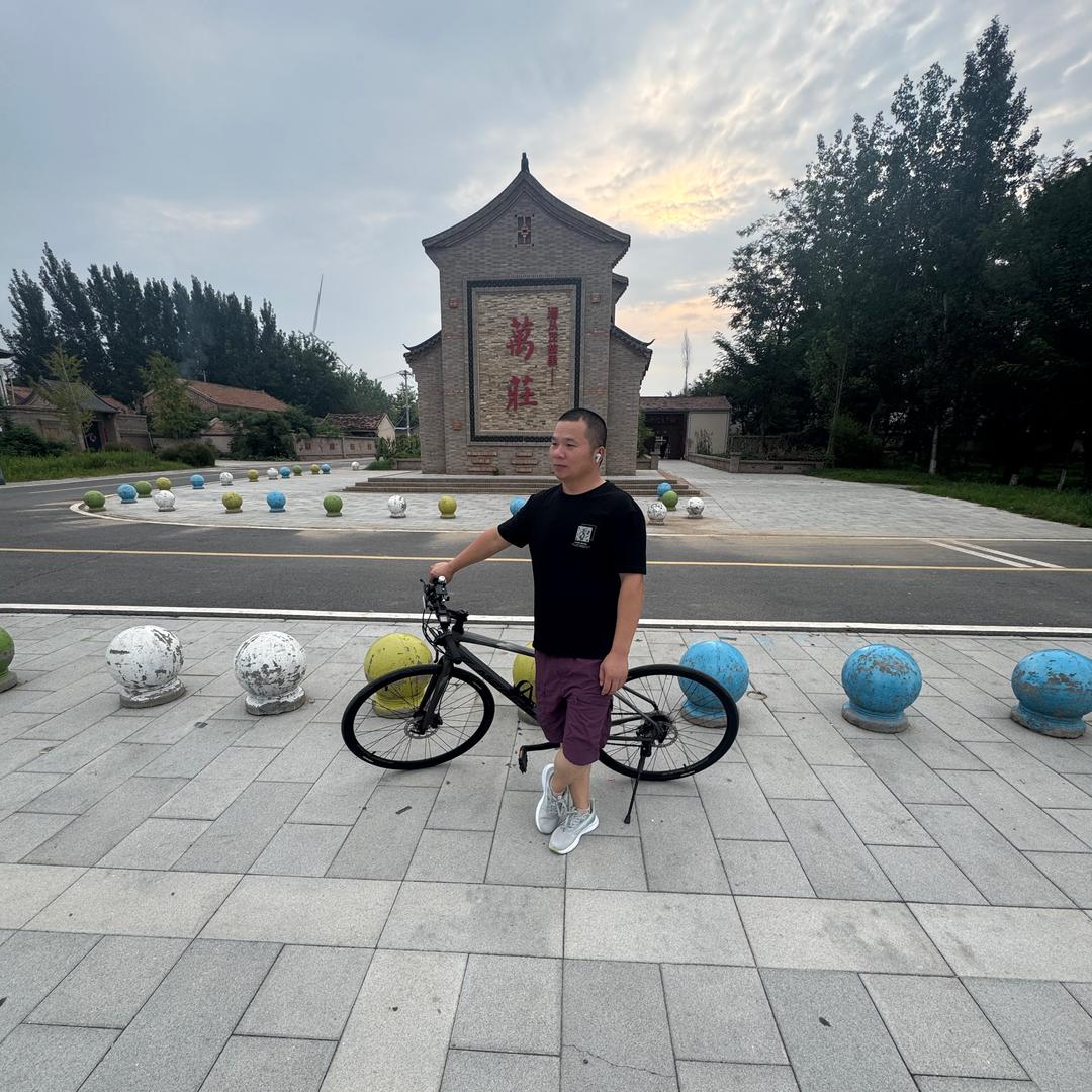 龙