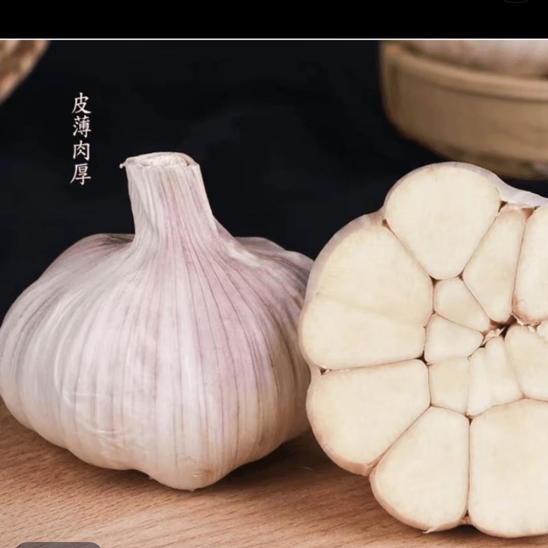 手心有你