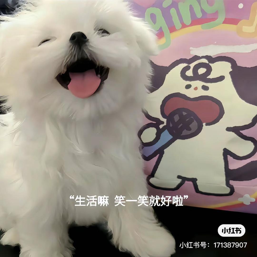 张张包