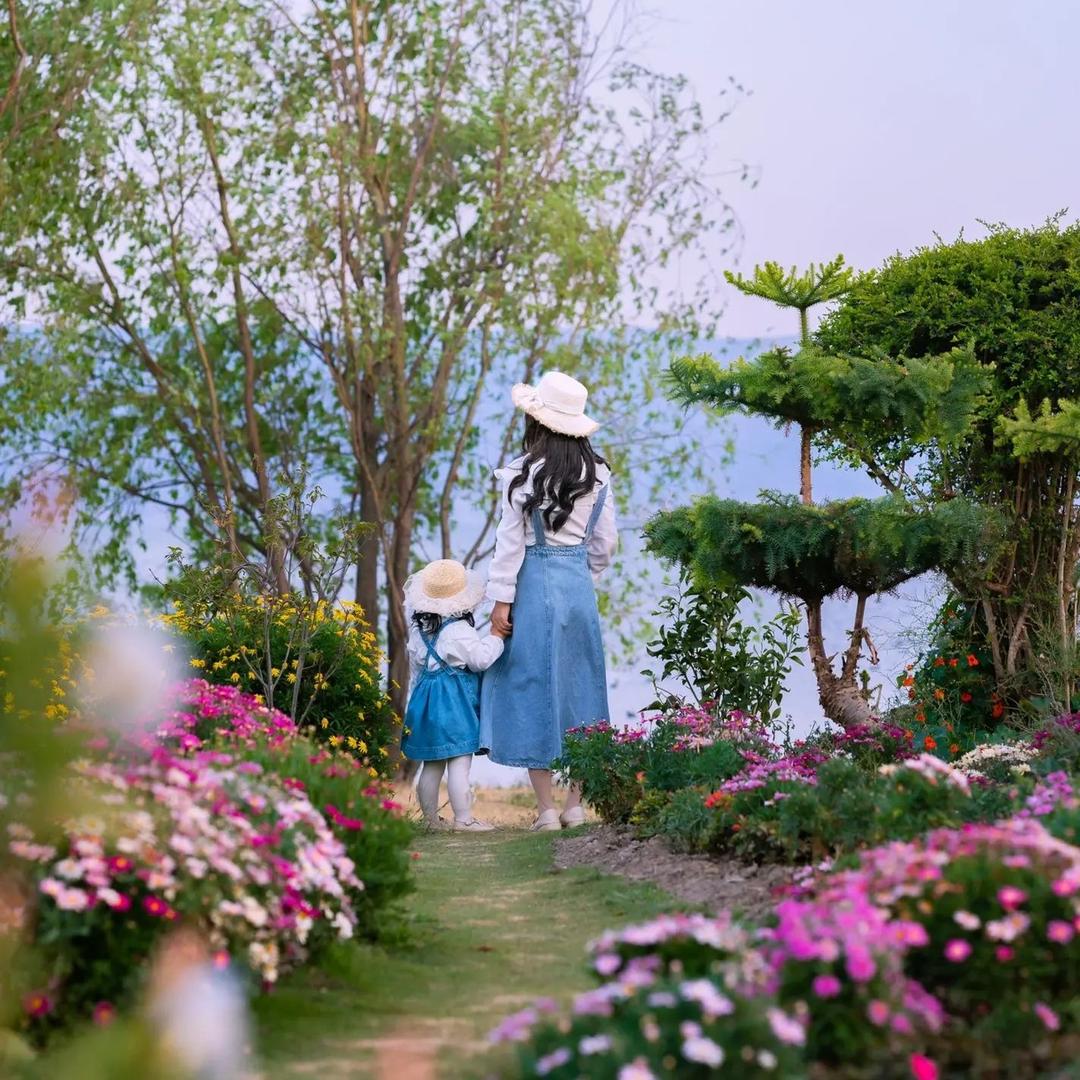 精选云南旅游
