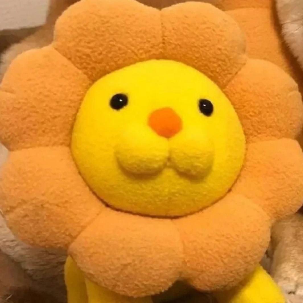 贝壳bb猪🐝