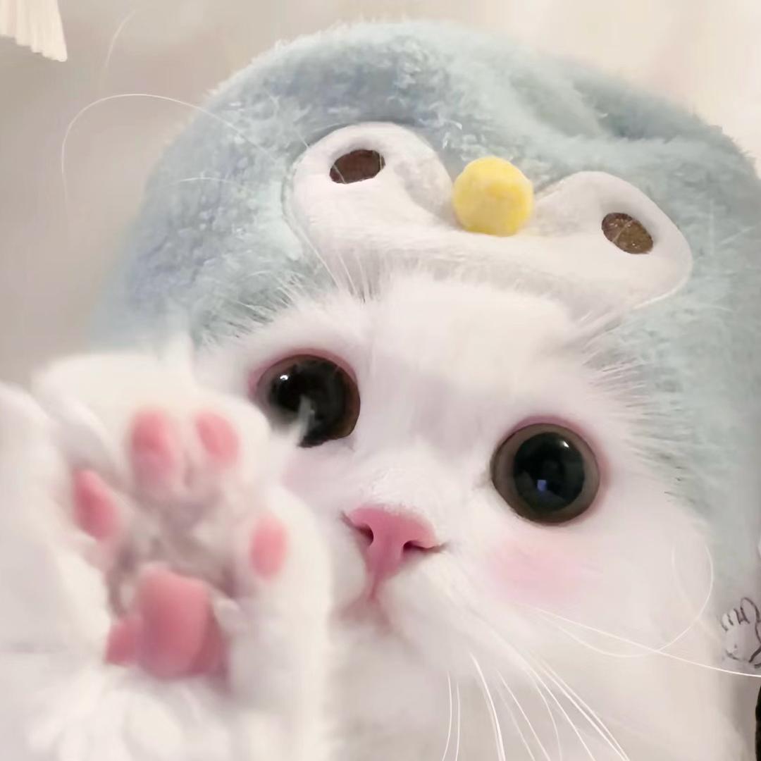 期雾