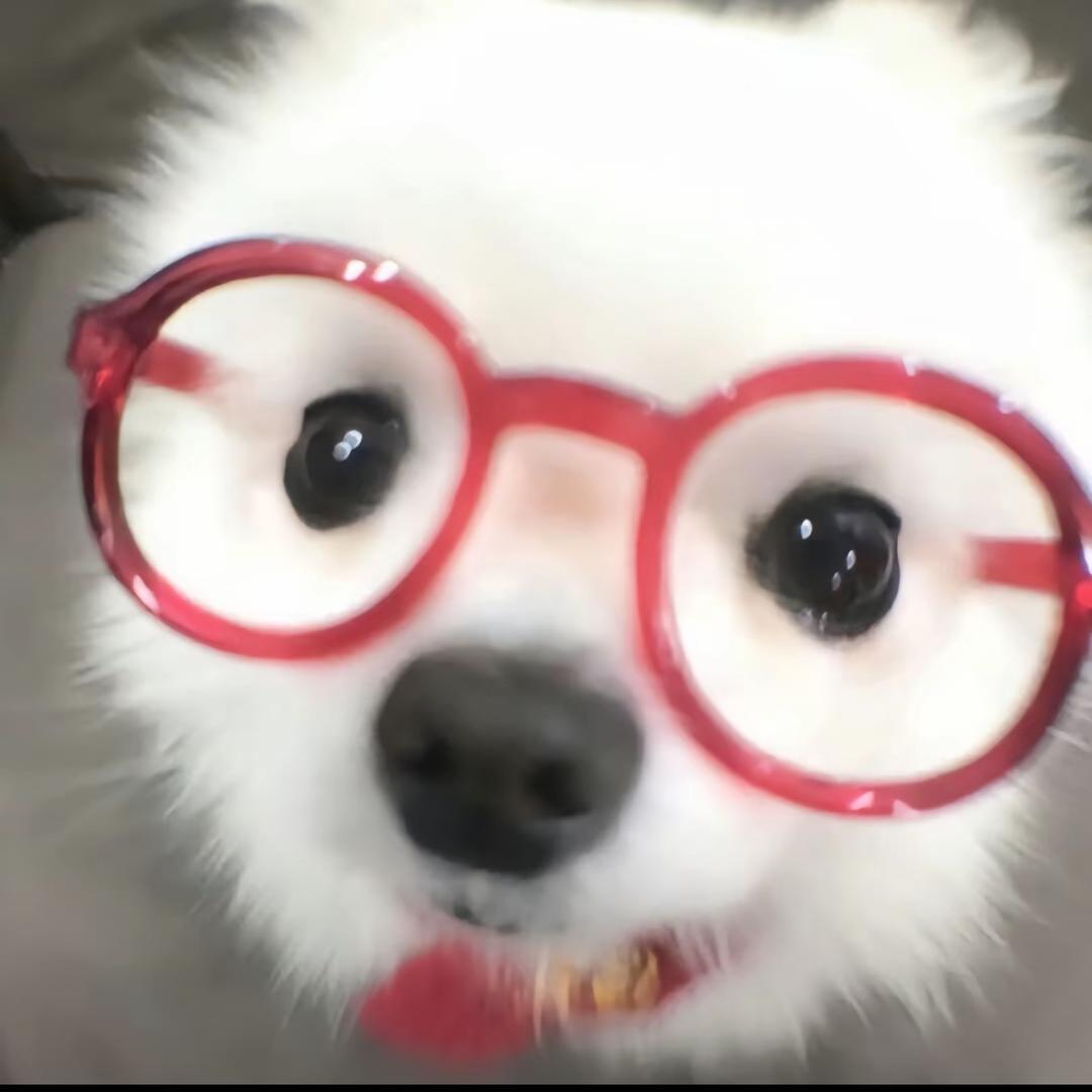 七仔