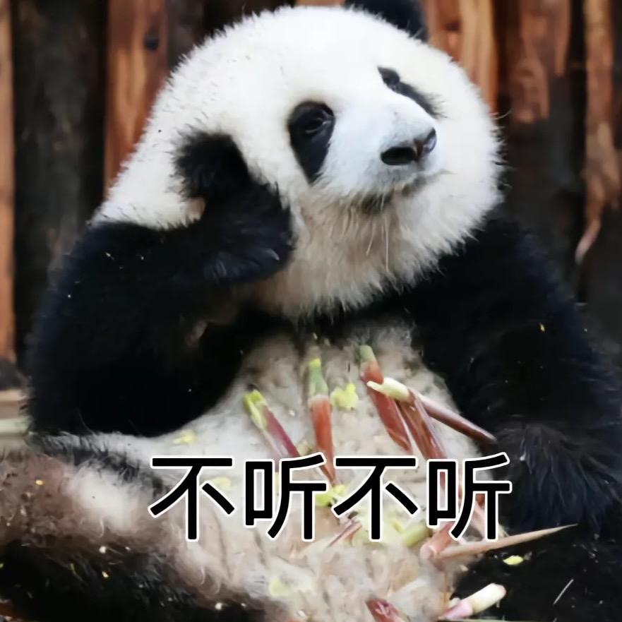 .摆烂老吴✨