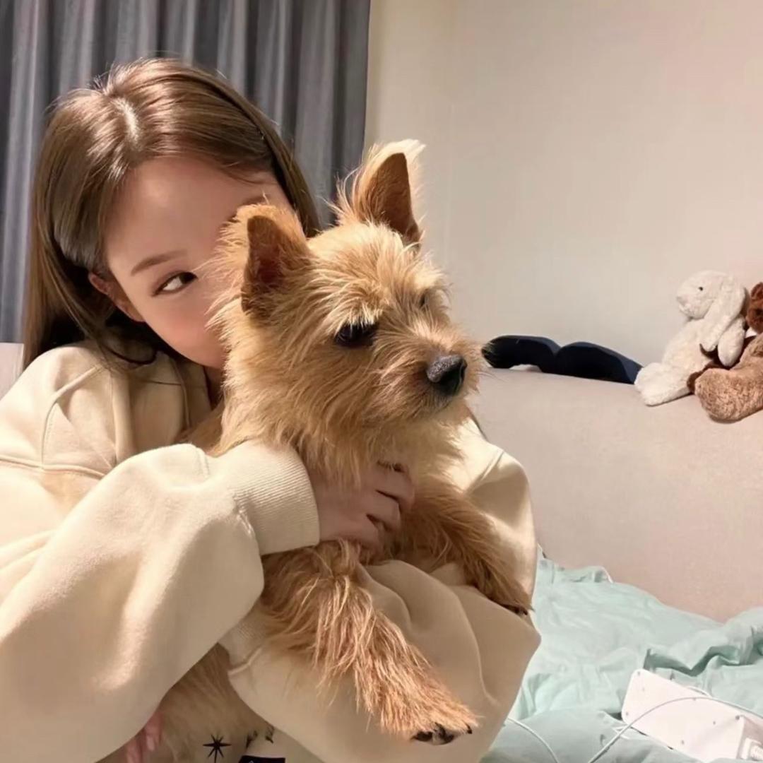 不准讨厌香菜🥷