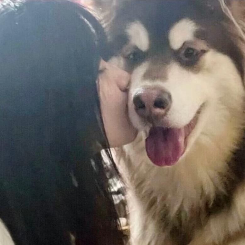 雾迟迟.