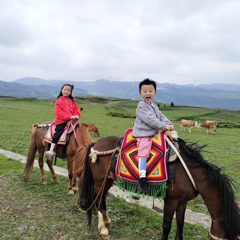 家有俩宝儿@抖音