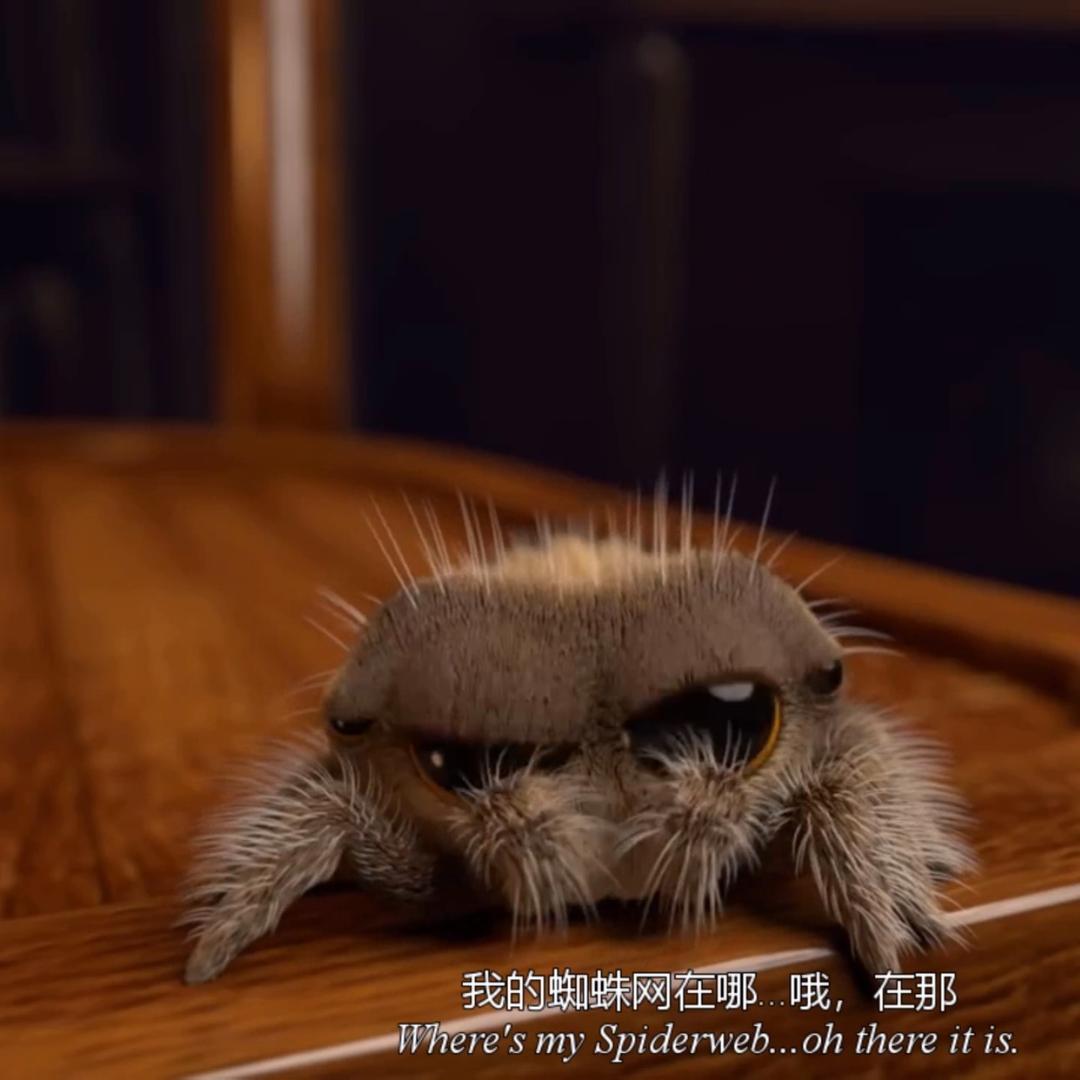 森游