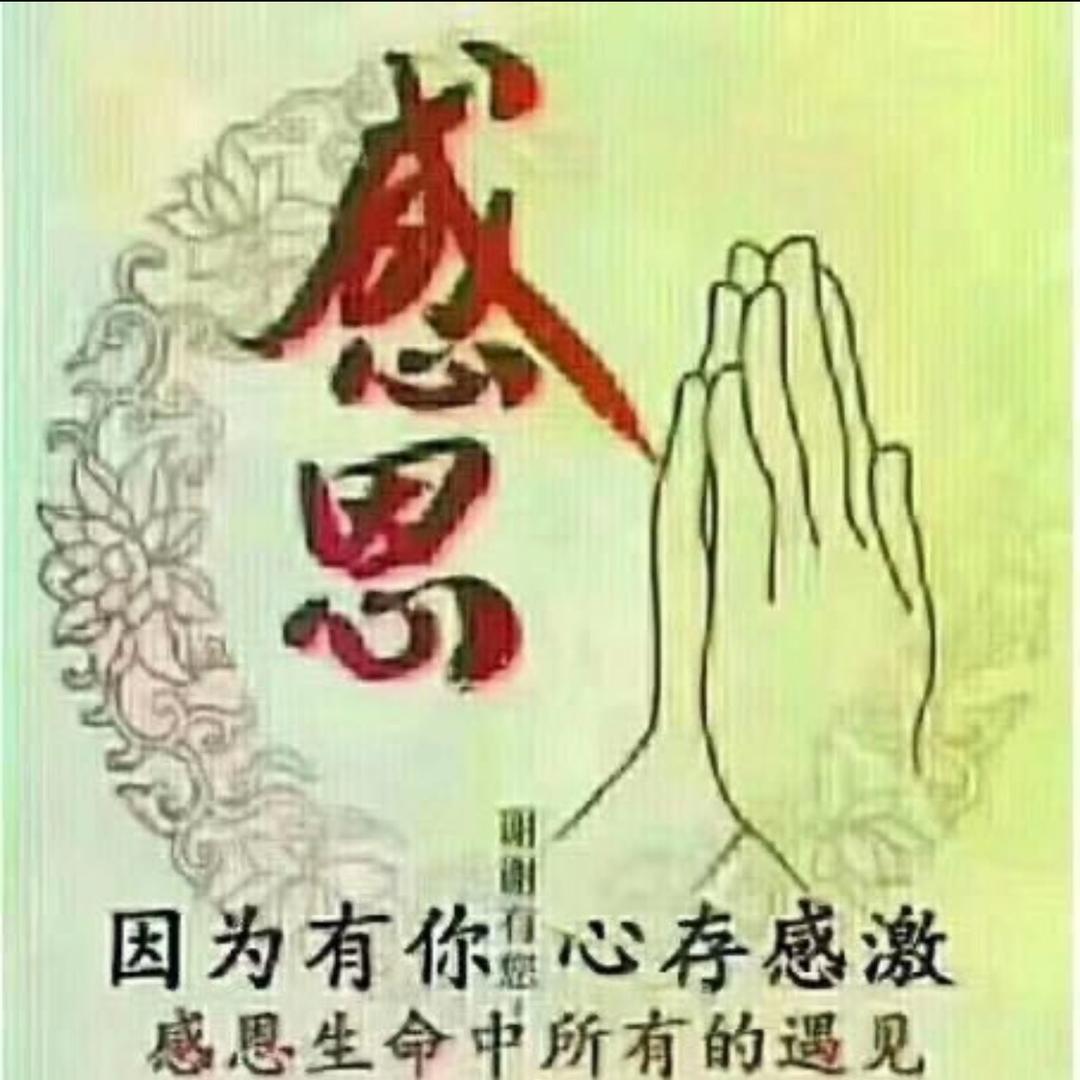 光舞大地