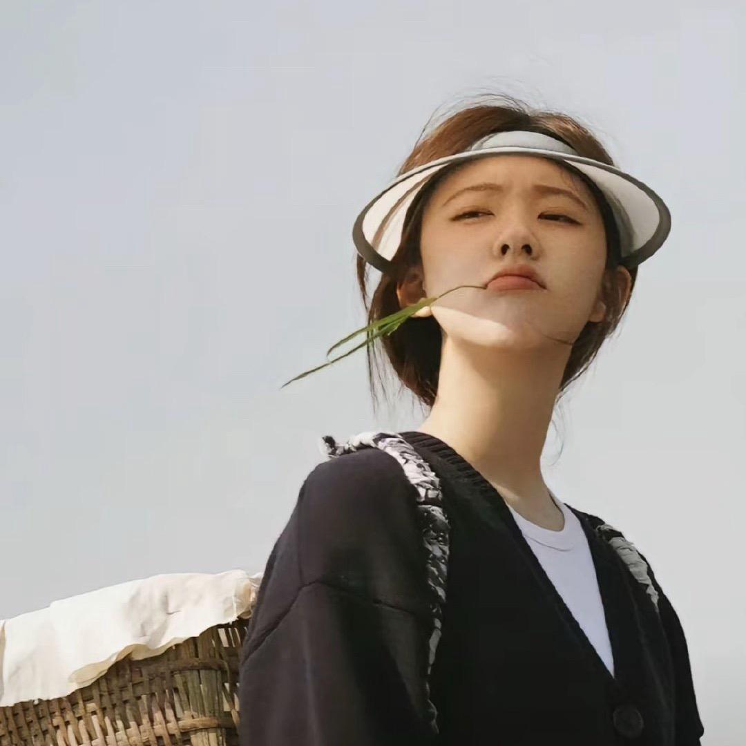白菜🥬