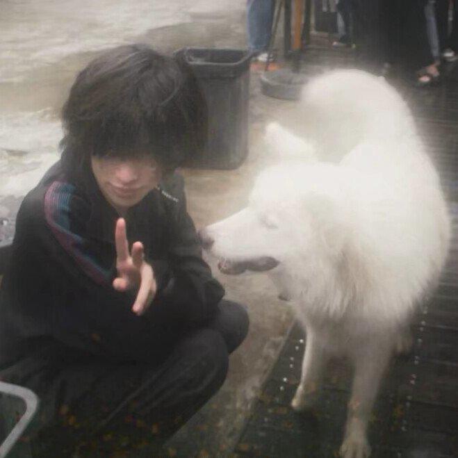 片状雪