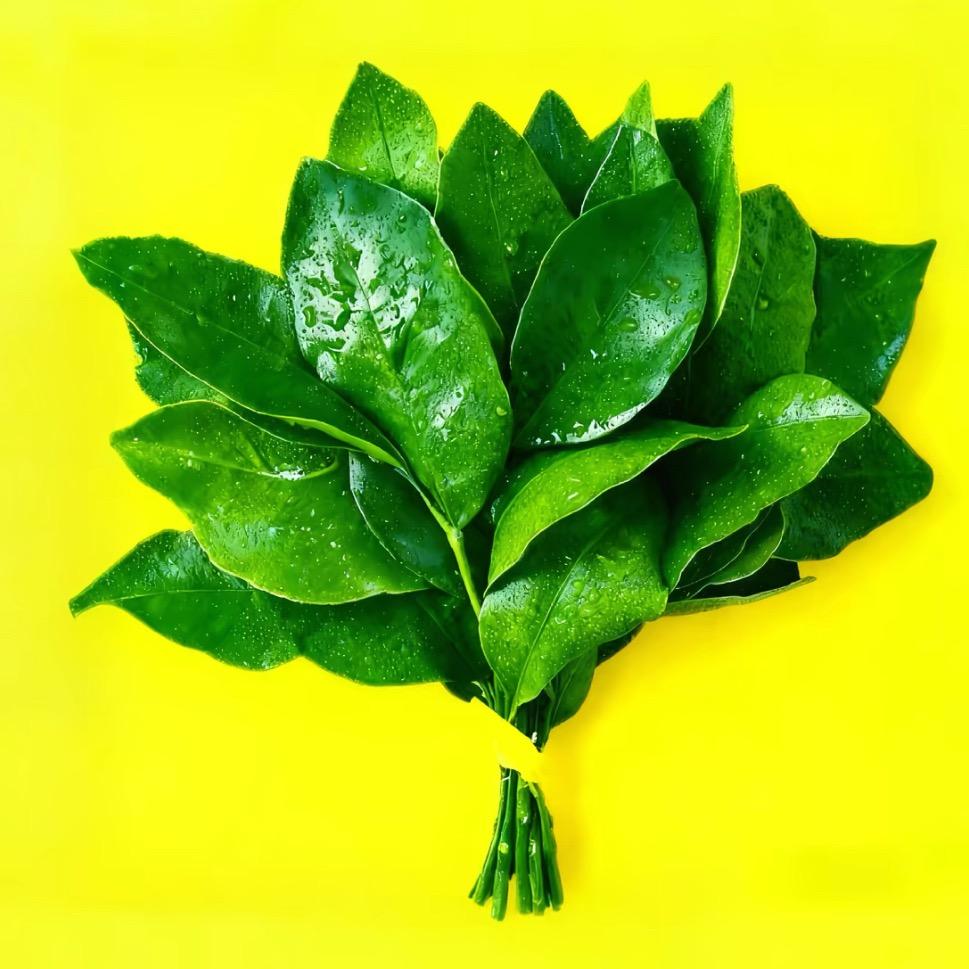 🌻福气满满🧧