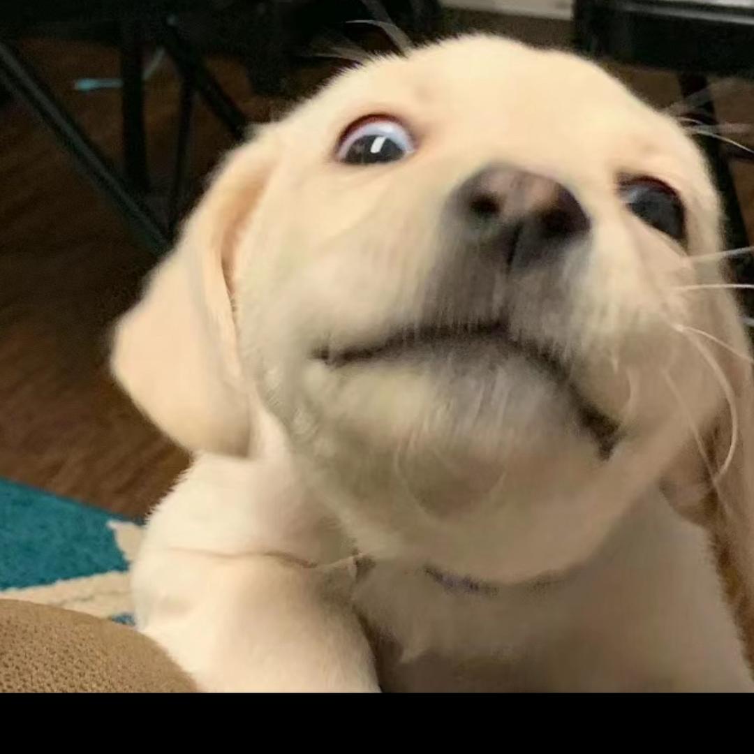 靓仔挪一下