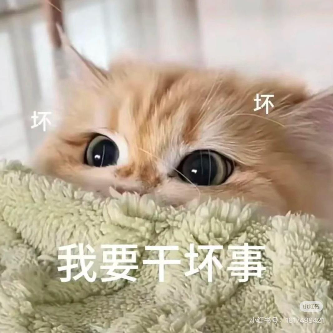 三个柚柚