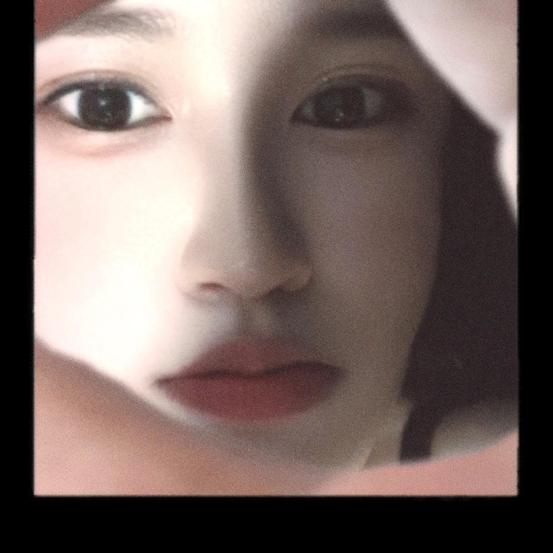 琴楠