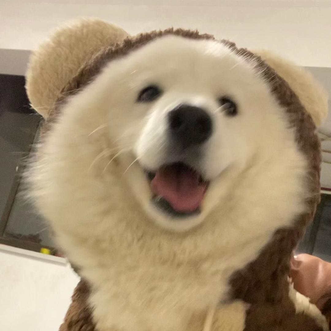 我不是饭团