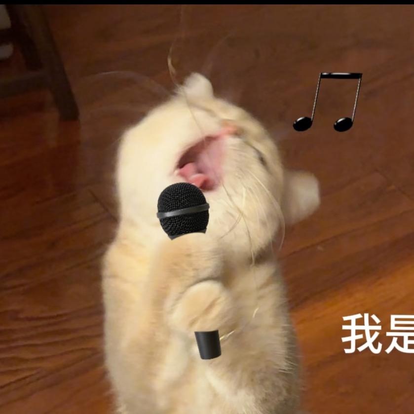 吵吵