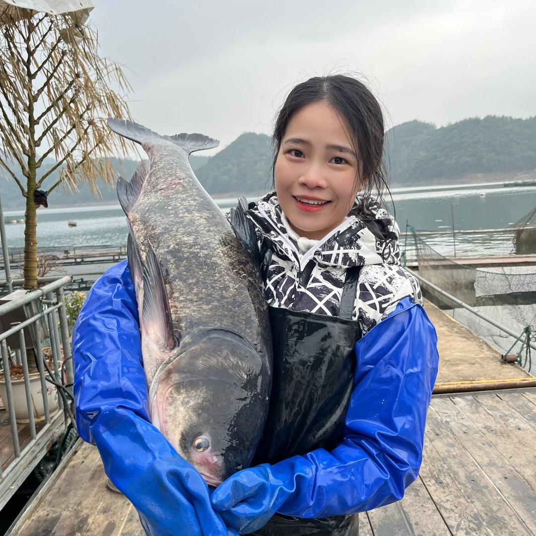 小乔家（千岛湖胖头鱼）