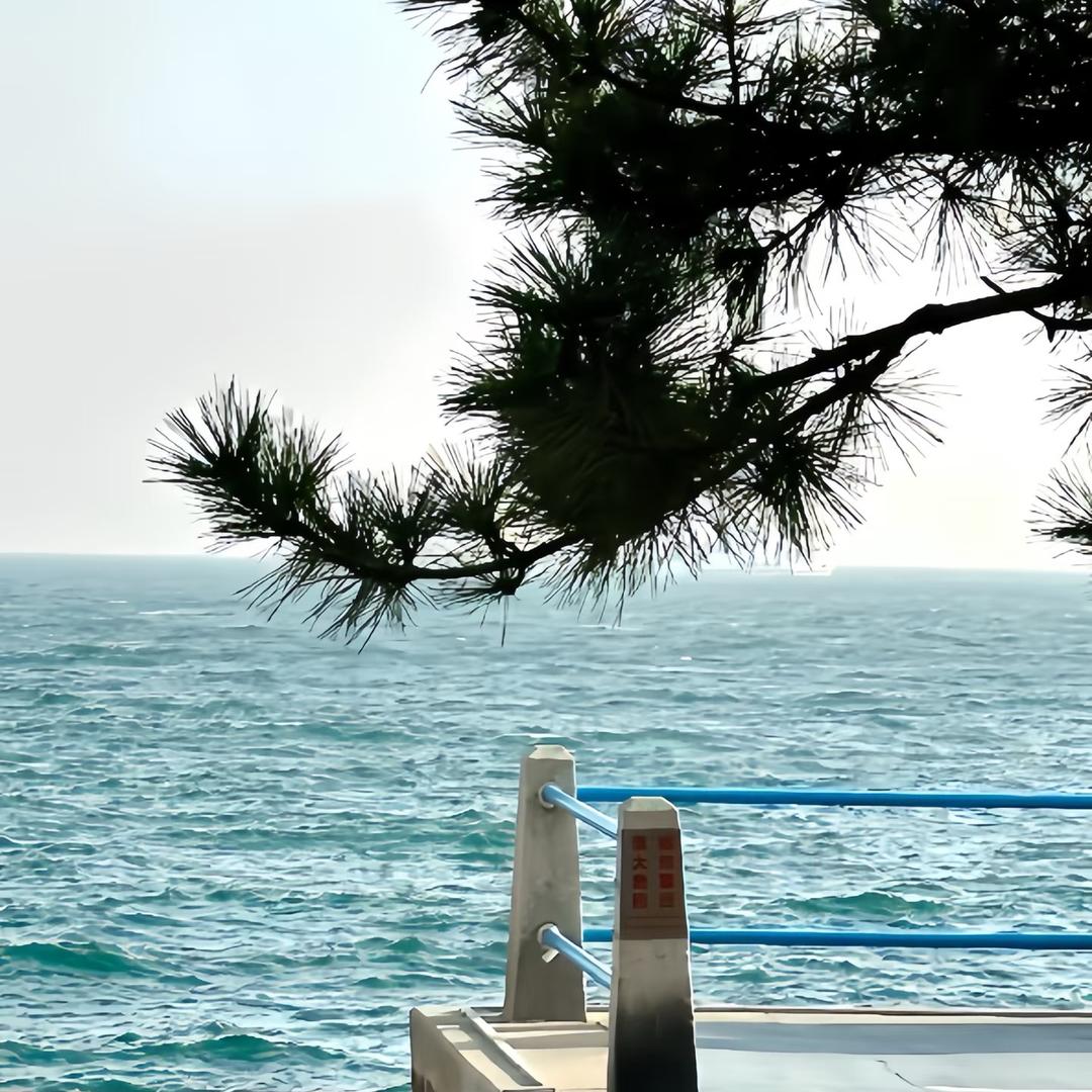 行走的小土豆🥔